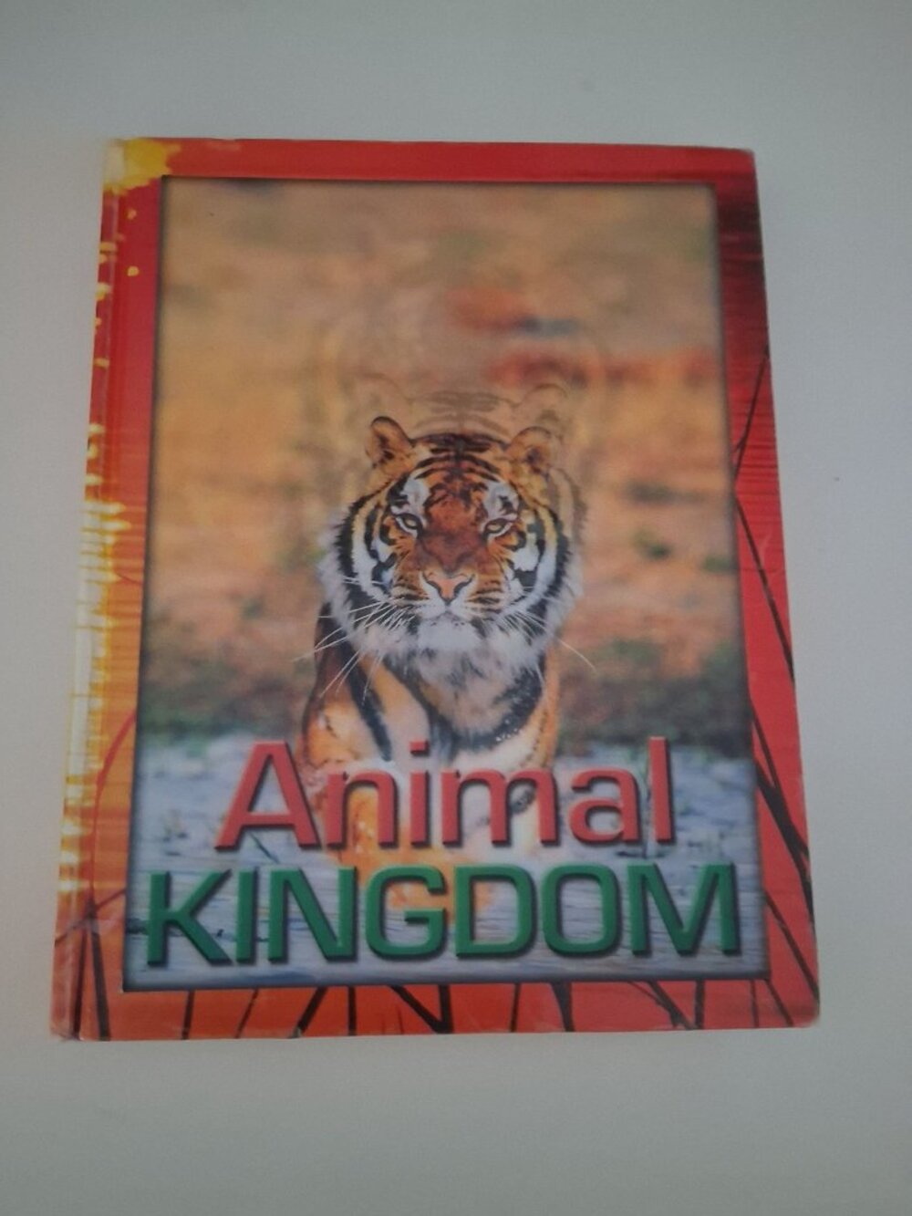 Animal Kingdom Childrens Educational Book Hardcover